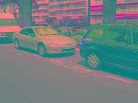 IMGP2736 edited (Medium)